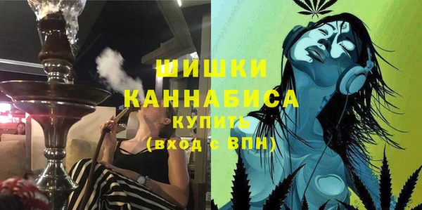 мдпв Семёнов