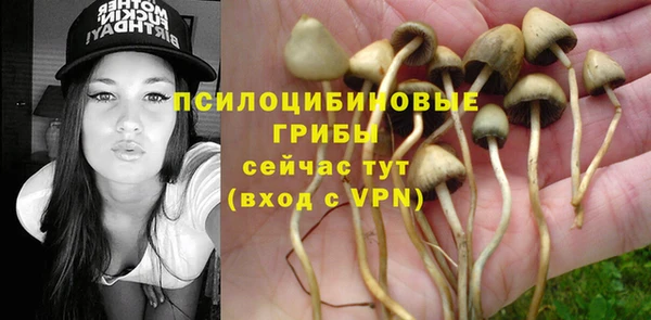прущий лед Алексеевка