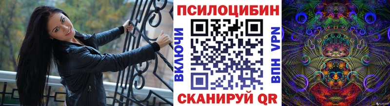 Псилоцибиновые грибы Cubensis  купить   Ишим 
