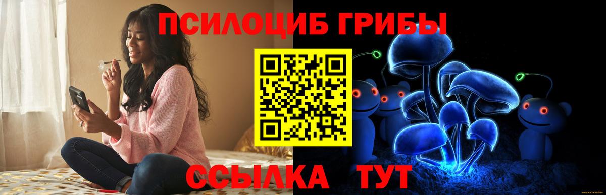 Псилоцибиновые грибы мицелий Ишим